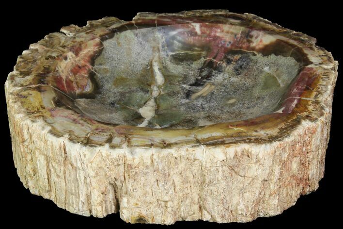Colorful Polished Petrified Wood Dish - Madagascar #142807